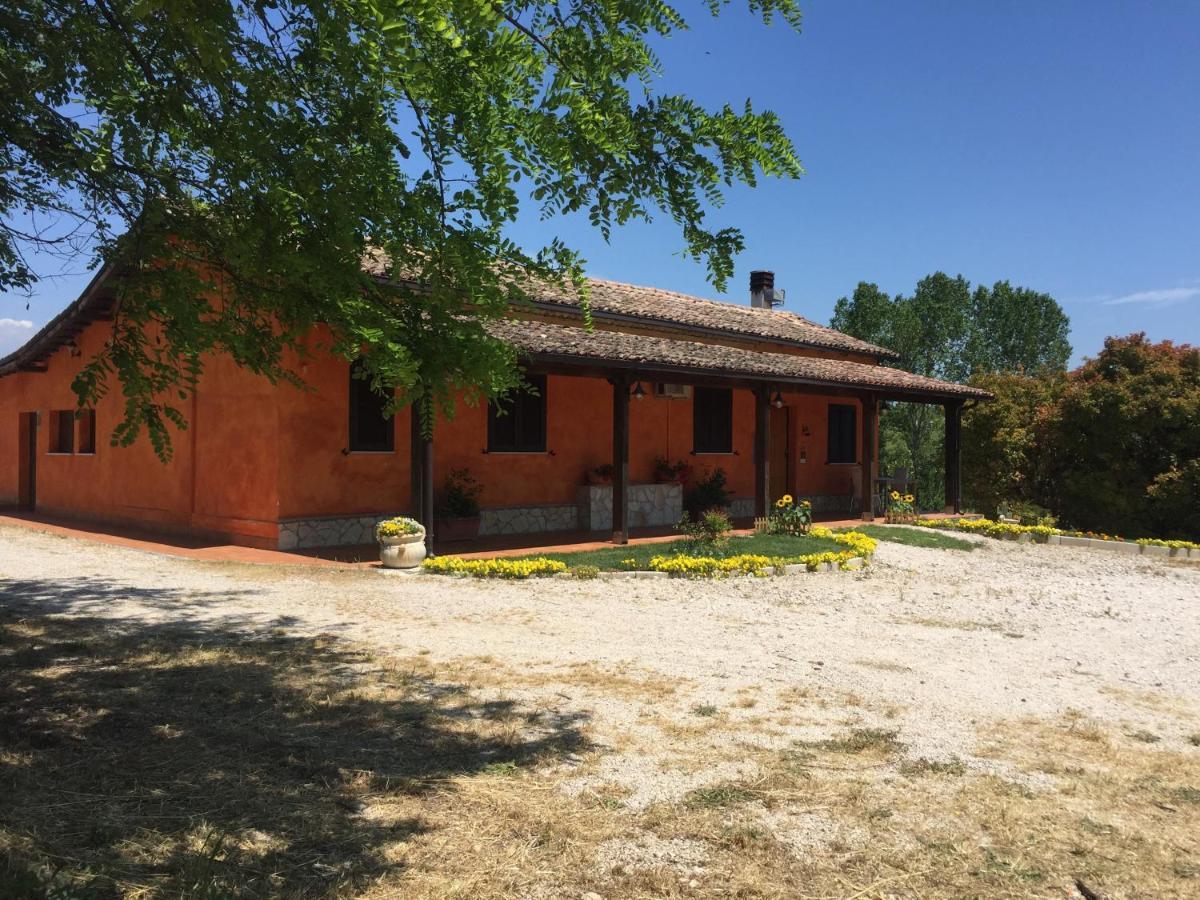 Il Girasole B&B Ceprano Extérieur photo