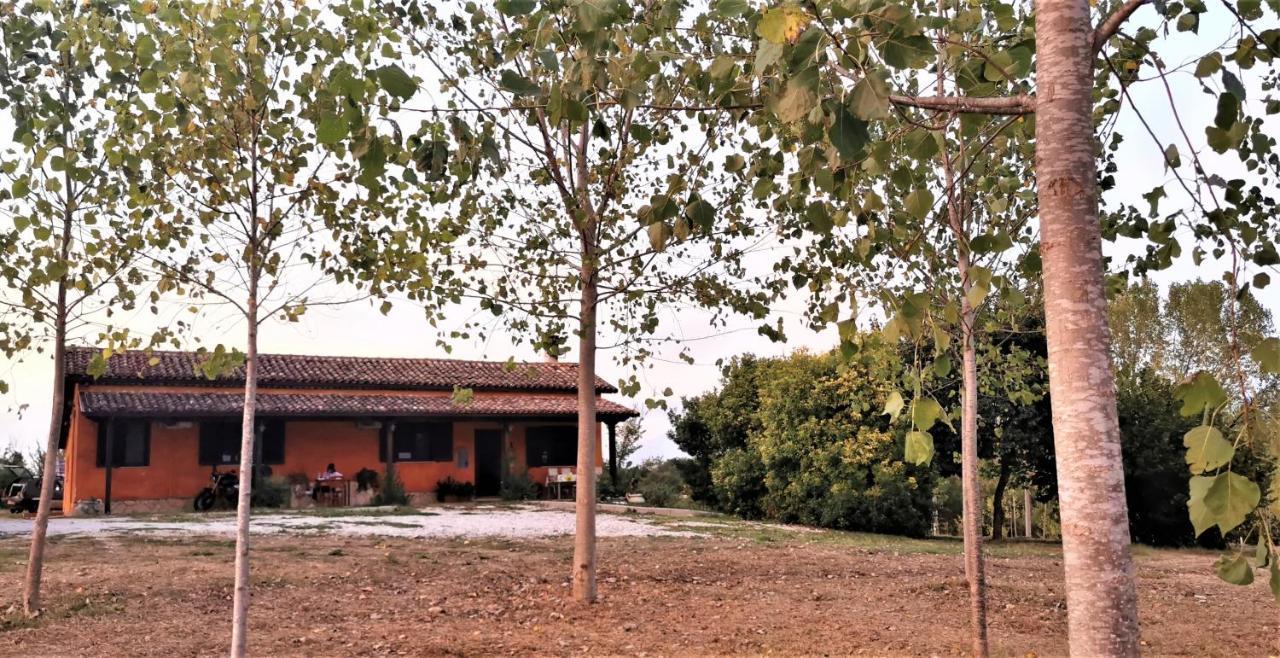 Il Girasole B&B Ceprano Extérieur photo